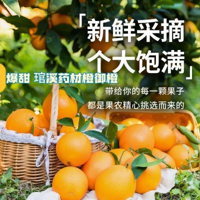 福建平和琯溪纯甜药材橙御橙无籽当季新鲜水果橙子