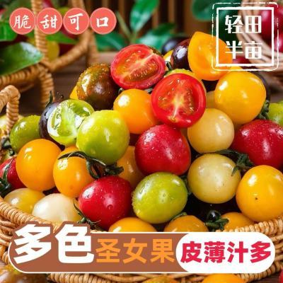 ڲ˳߲СǧʥŮӣҶɫʵժˮ2 26.9Ԫ