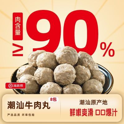 海底捞牛肉丸火锅食材冷冻麻辣烫关东煮速食半成品正宗潮汕8包