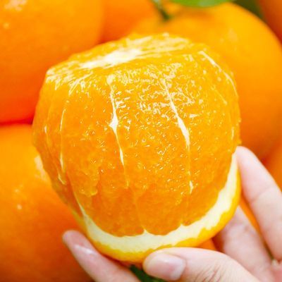 【正宗纽荷尔】宜昌脐橙甜橙子榨汁孕妇应季新鲜水果现货