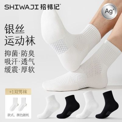 ڲʰ˿˶Ͳﶬë״ɴ־ɫͲ 39.9Ԫ