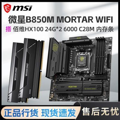 ���ڲ�����΢��B850M MORTAR WIFI���άHX100 24G*2 6000 C28M�����ڴ���װ 3579Ԫ