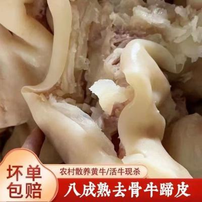 新鲜正宗去骨牛蹄皮八成熟国产黄牛红烧冷冻牛蹄筋汤肉类批发整箱