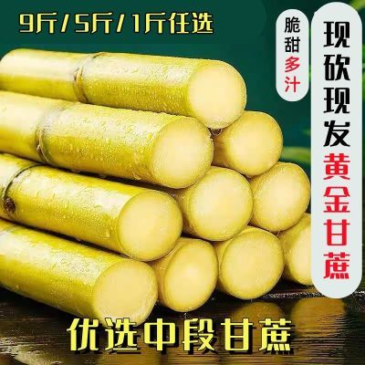 爆汁甘蔗新鲜清仓手撕黄皮当季新鲜水果脆甜多汁现砍现发薄皮清脆