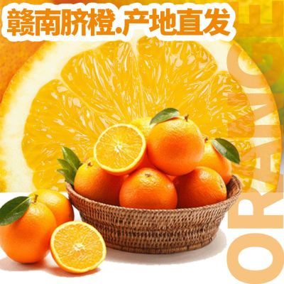 江西正宗赣南脐橙子赣州大果10当季甜橙现摘新鲜赣州脐橙产地直发