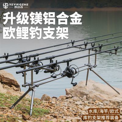 ���ڲ�����ҰӪ��þ���Ͻ�ŷ���֧��˫����ŷʽ���֧����̨ԶͶ�����׸ͼ� 487Ԫ