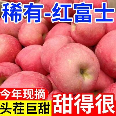 正宗2025红富士苹果脆甜水果新鲜红富士当季冰糖整箱丑苹果批发价