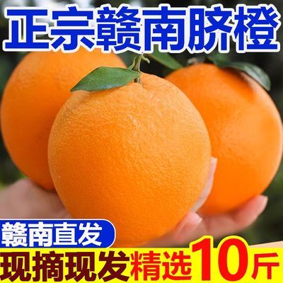 产地直发】正宗赣南赣州脐橙10斤橙子一整箱批发包邮应季新鲜水果