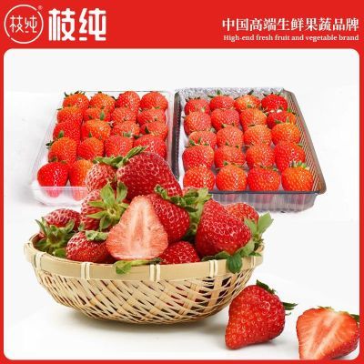 ���ڲ�������֦�������ڵ���99���ղ�ݮ������ժ�ž����Ͳ�ݮ1.8�ﵥ��20g�� 79.9Ԫ