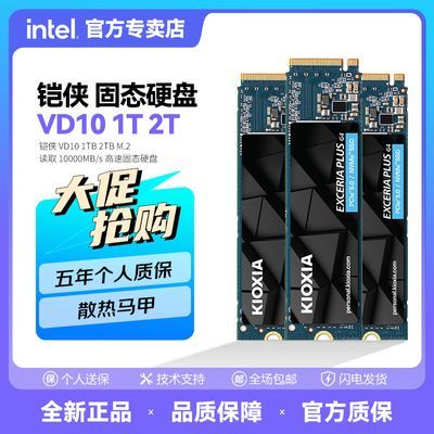 ����  SD10 SE10 VD10 1TB  PCIE4.0 M.2 ����SSD��̬Ӳ�� 808Ԫ(����ȯ)