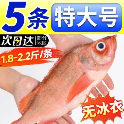 ���ڲ������������ɺ�ʯ�����ʻ�����䶳��������������㳬�������ʯ�� 48.9Ԫ