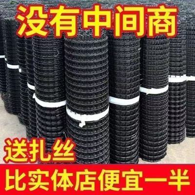 塑料围栏网养鸡网养殖网玉米网塑料网果园围栏防护网新款鸡网超厚