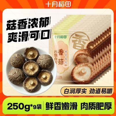 ڲŨʮµ㹽250g*9ˬɿʷʺٴ 267.5Ԫ