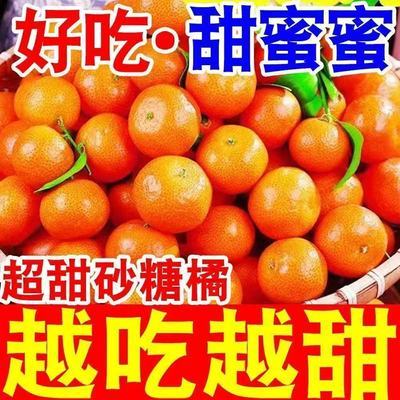 【广西砂糖橘】金秋砂糖橘蜜橘新鲜水果广西桔子沙糖薄皮整箱年货
