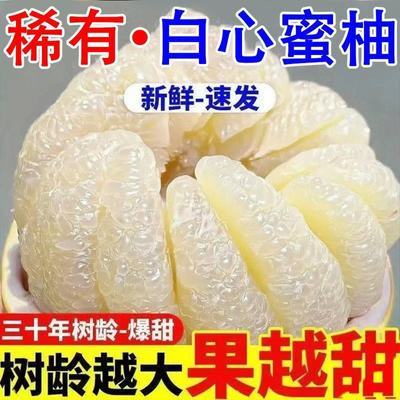 【白玉蜜柚】正宗白心蜜柚果园现摘白柚新鲜现摘水果柚子整箱9斤