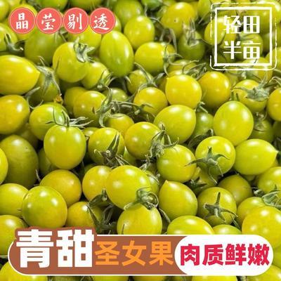 ڲ˳2ɫСӷѵˮǧʥŮ2 32.9Ԫ