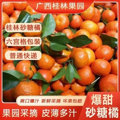 【广西砂糖橘】正宗沙糖桔爆甜无籽皮薄大个新鲜应季水果整箱包邮