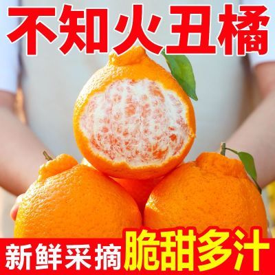 【现货】正宗四川不知火丑橘新鲜水果应季丑八怪粑粑柑橘耙耙桔子