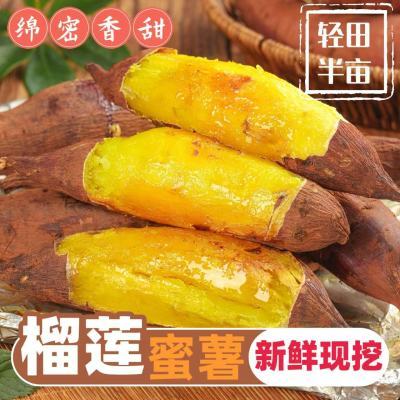 ڲϸԭ20ĺķÿ 99.5Ԫ