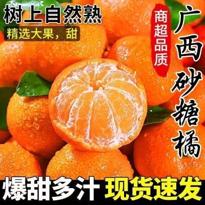 广西新鲜现摘现发广西沙糖桔清甜桂林沙糖桔桔子蜜橘小砂糖橘批发