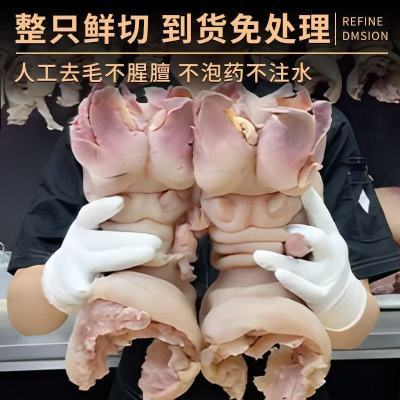 【正宗牛蹄整只】草饲黄牛去骨牛蹄皮整只牛肉新鲜半熟牛脚牛蹄筋