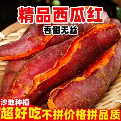 正宗西瓜红薯2025年新鲜产地红心蜜薯正宗板栗蜜薯沙地非烟薯25号