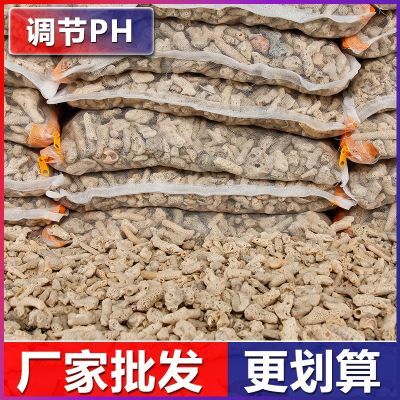 PH调节天然珊瑚石鱼滤材防爆超质感专业水体平衡更划算价位低