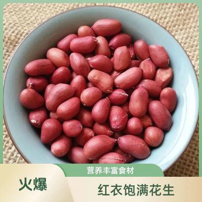 2斤红皮花生米批发农家自产红衣四粒红新货花生东北无壳花生批发