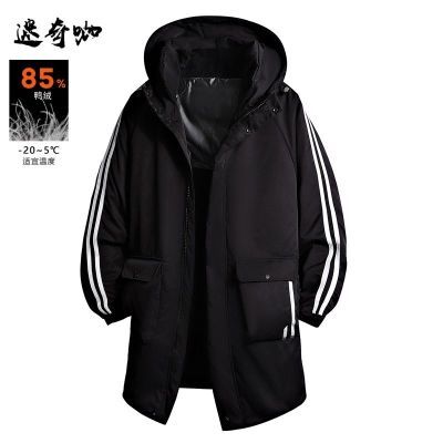 ڲ濧2025װгɴ޷¿ñӺů 368Ԫ