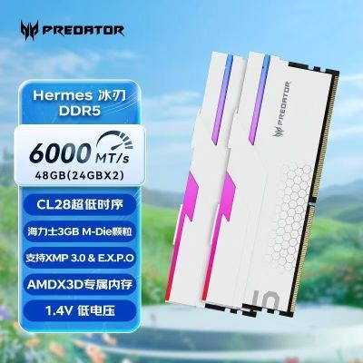 【2549】宏碁掠夺者DDR5 Hermes冰刃黑白6000CL28时序台式机内存24GX2套装  https://p.pinduoduo.com/6bSw4noU?sc=EFAC