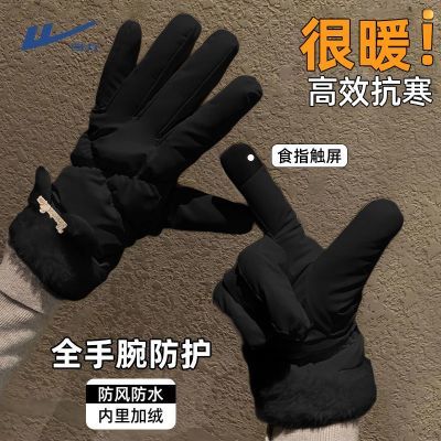 ڲŮʿﶬ2025¿Ůůɴ޷ 17.9Ԫ