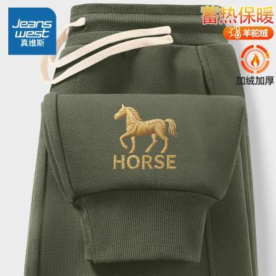 ���ڲ�������ά˹��ʿ���Ӷ��������ذ����޼Ӻ�������п�ٴ������������ 69.99Ԫ