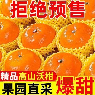 当天摘】超甜云南沃柑广西武鸣沃柑大果当季新鲜水果薄皮橘子爆甜