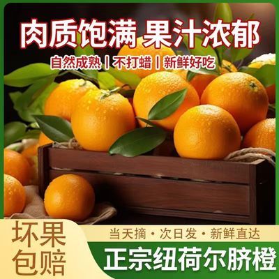 正宗脐橙宜昌香甜现摘新鲜甜橙应季水果橙子当季直发破损包赔