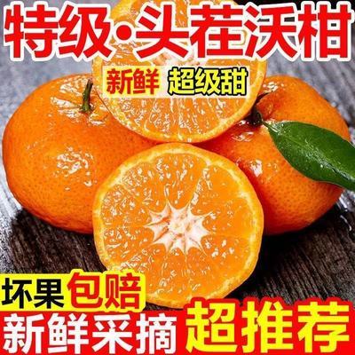 当天摘】超甜云南沃柑广西武鸣沃柑大果当季新鲜水果薄皮橘子爆甜