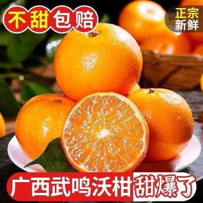 正宗广西武鸣沃柑新鲜水果当季整箱沙糖蜜橘砂糖柑橘桔子橘子批发【12月10日发完】