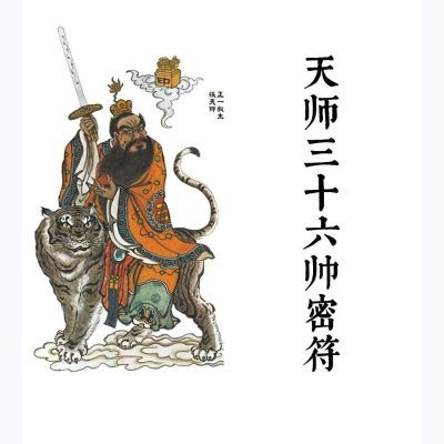 三十六帅书籍正一全套教程