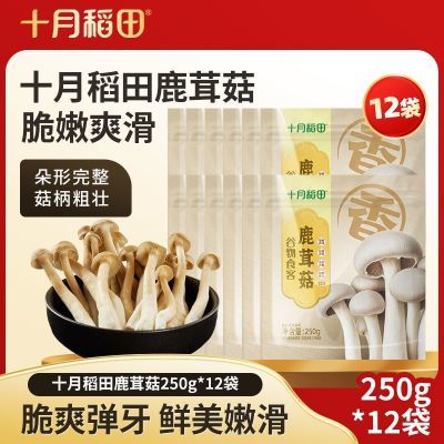 ڲʮµ¹׹250g*12ˬɻĢƷݷ 357Ԫ
