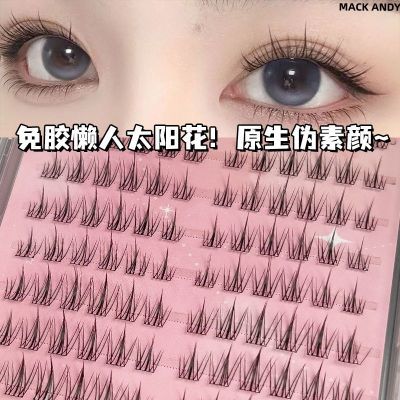 ���ڲ�������ɰ���̫�����⽺�ٽ�ë�������轺ˮ�ű����ֳ�����Ȼ�����ë 11.8Ԫ