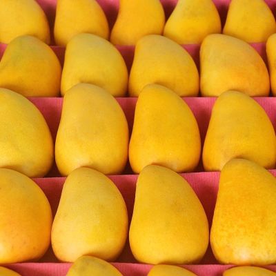 芒果正宗小台芒新鲜小台芒果应季水果鸡蛋整箱批发热带当季