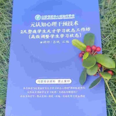 正版元认知心理干预技术手册高效提高学生学习状态学习力练习本