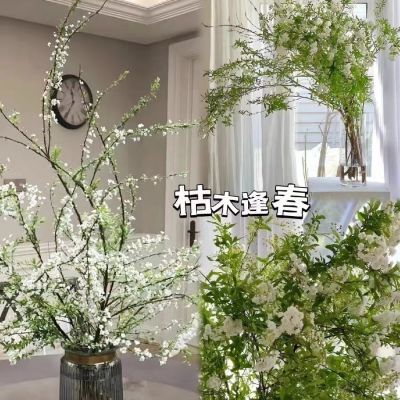 【新春】雪柳鲜枝水养干枝遇水开花水培耐寒爆盆直发插花持久好养