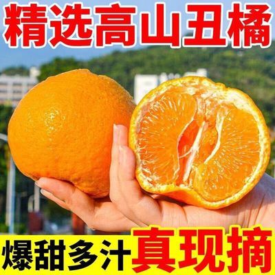 现摘高山丑橘丑八怪橘子耙耙柑超甜薄皮橘子水果