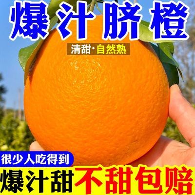 现摘当季新鲜橙子脐橙薄皮甜橙应季水果非江西赣南脐橙大果超大