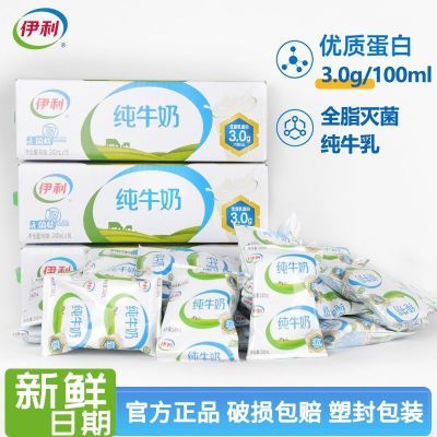 3月份伊利纯牛奶240ml*16袋 全脂无菌枕袋装纯奶