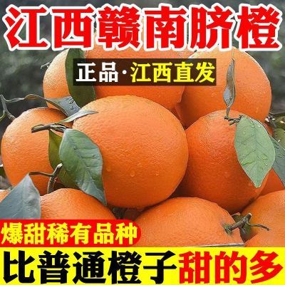 正宗赣南脐橙新鲜大果橙子江西赣州甜橙直发当季现摘整箱水果批发