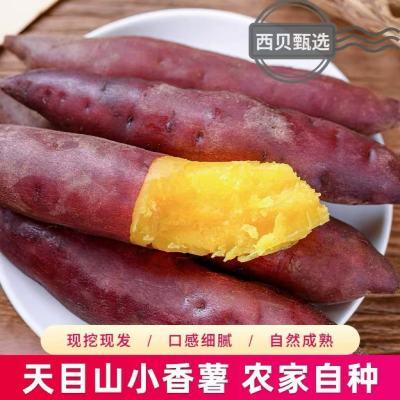 天目山小香薯新鲜正宗黄心沙地板栗红薯手指蜜薯地瓜甜糯软糯