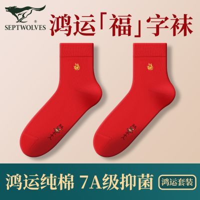 ڲƥʿɫ־ﶬͲ 29.9Ԫ