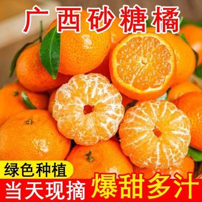 带箱5斤正宗广西砂糖橘新鲜当季水果沙糖桔橘子薄皮无籽蜜桔整箱