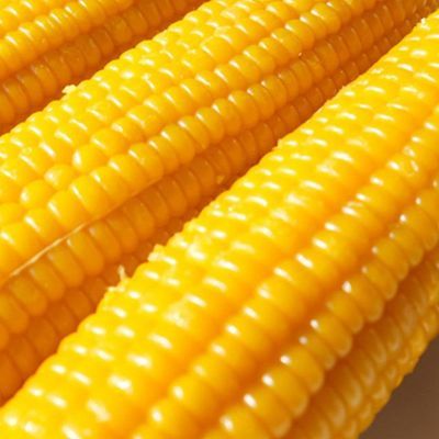 福优优甜糯黄玉米真空锁鲜包装早餐代餐白糯玉米棒0添加苞米